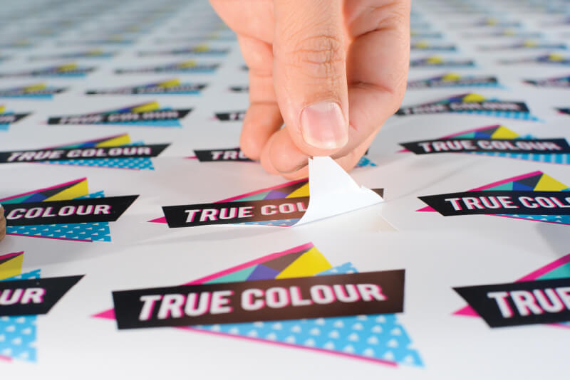 Printed product samples 